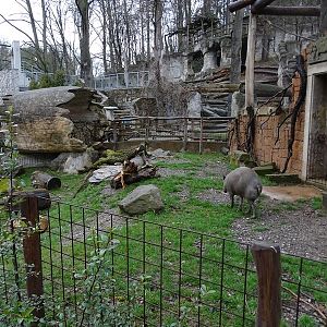 Jihlava 04/2016: Part of babirussa enclosure