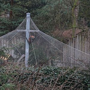 Jihlava 04/2016: Part of red panda enclosure