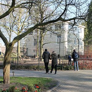 African wild dog enclosure