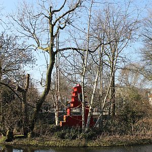 Golden cheeked gibbon island