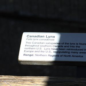 Very Incorrect Signage