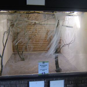 Exhibit under going refurb