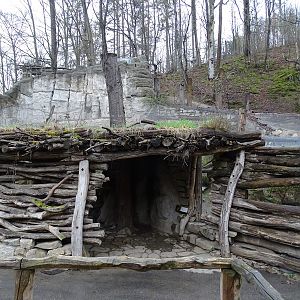 Jihlava 04/2016: Small cat viewing