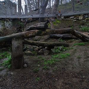 Jihlava 04/2016: Small cat enclosure