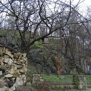 Jihlava 04/2016: White-tailed sea eagle aviary
