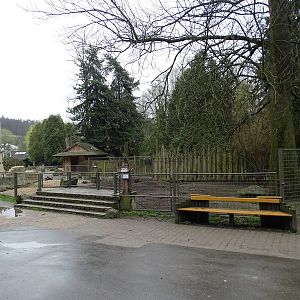 Jihlava 04/2016: Chacoan peccary enclosure