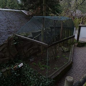 Jihlava 04/2016: Marmoset enclosure