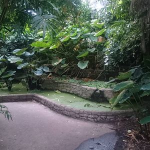 Rice-fields in Asian tropical hall
