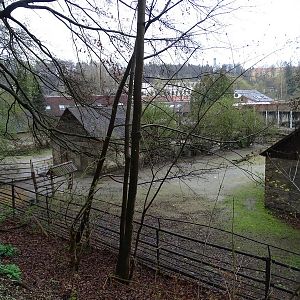 Jihlava 04/2016: Guanaco / rhea / mara