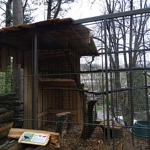 Jihlava 04/2016: Raven enclosure