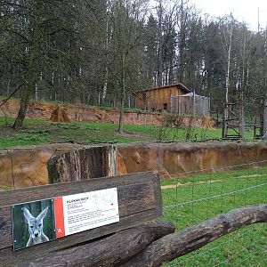 Jihlava 04/2016: Australian encloses