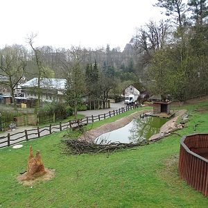 Jihlava 04/2016: Black swan enclosure