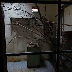 Jihlava 04/2016: Lorikeets indoor enclosure