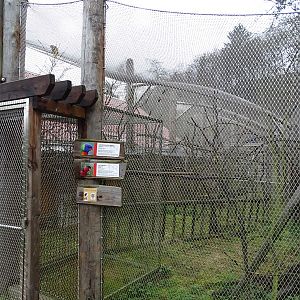 Jihlava 04/2016: Lorikeets enclosure