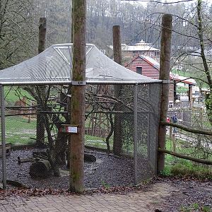 Jihlava 04/2016: Quoll enclosure