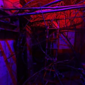 Jihlava 04/2016: Kuskus / sugar glider enclosure