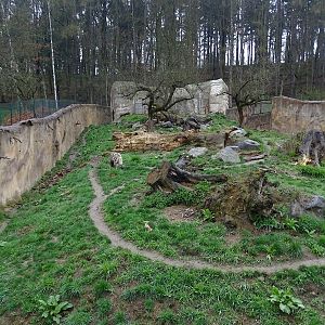 Zo Jihlava 04/2016: Striped hyena enclosure