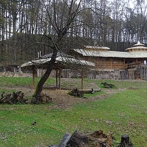 Zo Jihlava 04/2016: Africa house and savannah 1