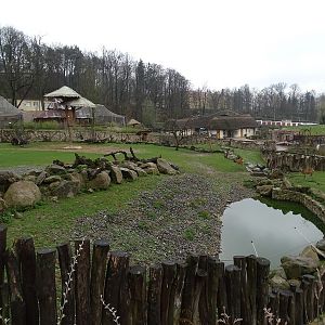 Zo Jihlava 04/2016: Savannah 2