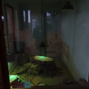 Zo Jihlava 04/2016: Gundi enclosure