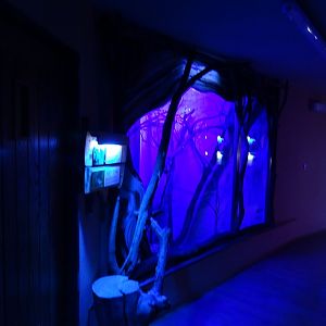 Zo Jihlava 04/2016: Africa house