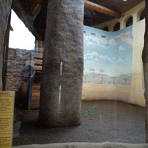 Zo Jihlava 04/2016: Giraffes indoors