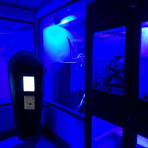 Zo Jihlava 04/2016: Australia house nocturnal section