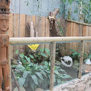 Enclosure Cuvier's dwarf caiman