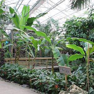 View in the Butterfly hall