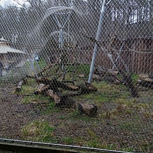 Zoo Jihlava 04/2016: Monkey enclosure