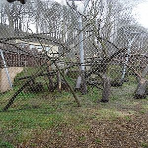 Zoo Jihlava 04/2016: Monkey enclosure