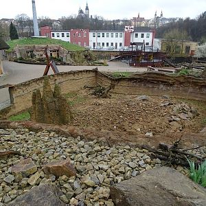 Zoo Jihlava 04/2016: Meerkat enclosure