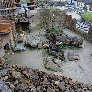 Zoo Jihlava 04/2016: Porcupine enclosure