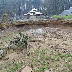 Zoo Jihlava 04/2016: Meerkat enclosure