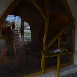 Zoo Jihlava4/2016: Meerkat indoor enclosure