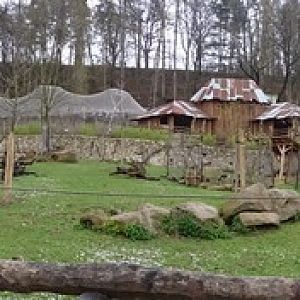 Zoo Jihlava4/2016: Savannah