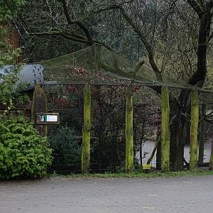 Zoo Jihlava4/2016: Seriema aviary