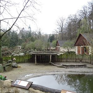 Zoo Jihlava4/2016: Pygmy hippo enclosure
