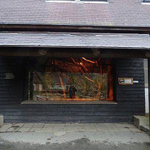 Zoo Jihlava4/2016: Cottontop Marmoset enclosure