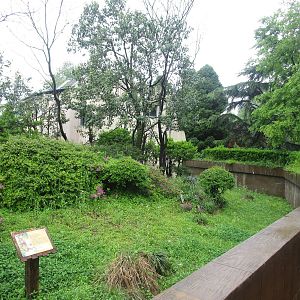 Squirrel Monkey Outdoor Enclosure - 16/04/2016