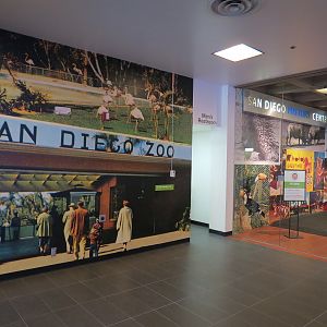 The Lore Behind The Roar! - Glass Gallery Entrance Display