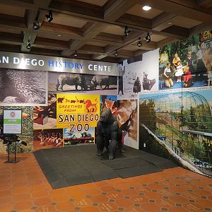 The Lore Behind The Roar! - Glass Gallery Entrance Display