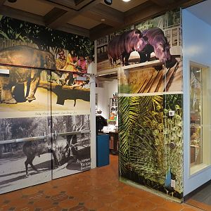 The Lore Behind The Roar! - Glass Gallery Entrance Display