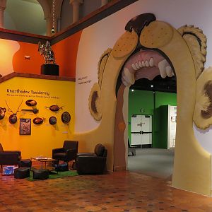 The Lore Behind The Roar! - Atrium Entrance to Roar! Family Den