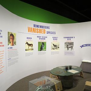 The Lore Behind The Roar! - Roar! Family Den