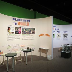 The Lore Behind The Roar! - Roar! Family Den