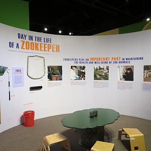 The Lore Behind The Roar! - Roar! Family Den