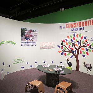 The Lore Behind The Roar! - Roar! Family Den