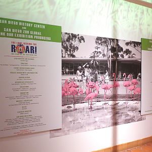 The Lore Behind The Roar! - Exhibition Credits in Atrium