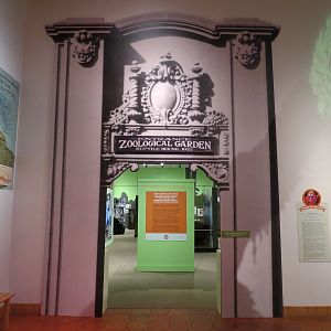 The Lore Behind The Roar! - Atrium Entrance